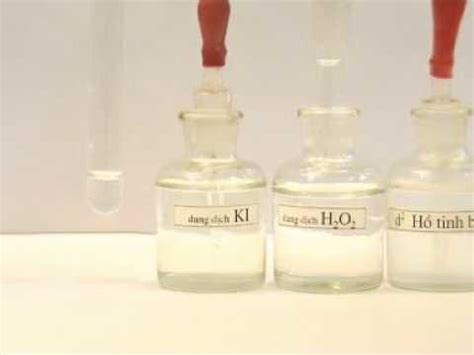 Image result for H2O2 Disassembly Ki