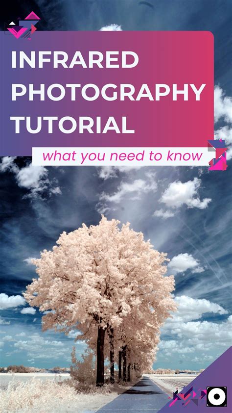 Image result for Infrared Photography Tutorial