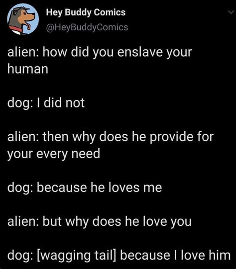 Enslaved by love : r/wholesomememes
