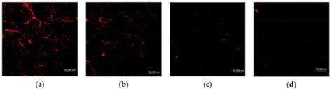 Design, Synthesis and Characterization of a Novel Type of Thermo ...
