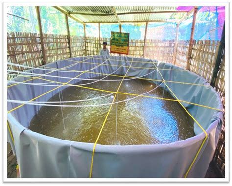 Home | SLNA,WDC-PMKSY,ASSAM