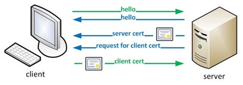 Image result for Setting Up a Mutual Authentication TLS Secure Connection