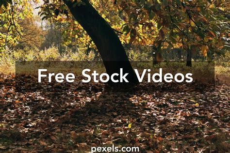 Environment Animated 的图像结果