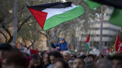 Which countries recognise Palestinian state? - Times of India