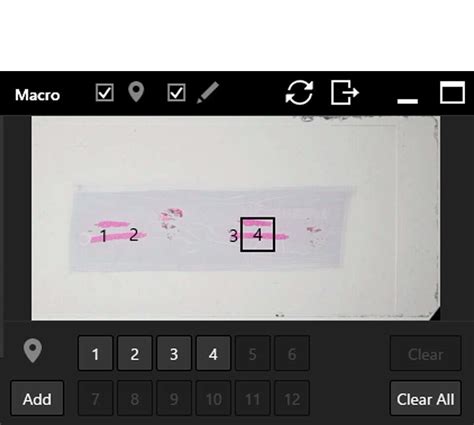 Eclipse UI Script 的图像结果