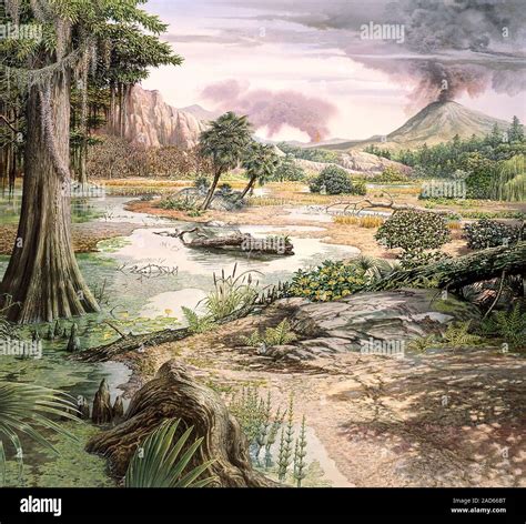 Cretaceous landscape. Illustration of typical plants and trees in and ...