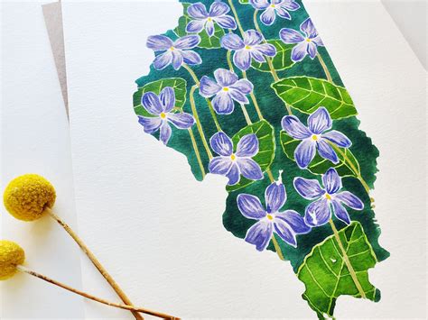 Illinois State Flower Original Watercolor – Sketchy Notions