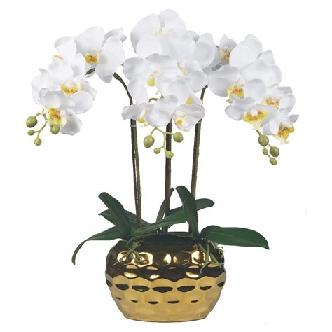 W&W Artificial Orchid Plants & Flowers Arrangement in Ceramic Pot, Fake ...