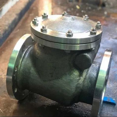 Dual Plate Check Valves - VVPL Make Dual Plate Check Valve Trader ...