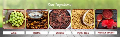 Havintha Natural Hair Shampoo With Amla Reetha Shikakai Methi Dana And ...