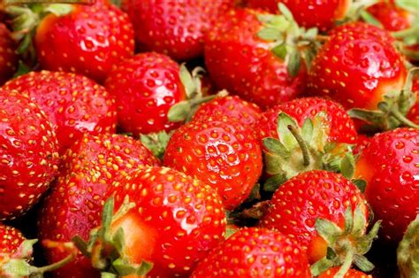 “碰瓷”草莓的出血热，人传人非常罕见！ - 哔哩哔哩