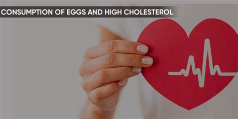 Consumption of Eggs and High Cholesterol Levels – Fitspire