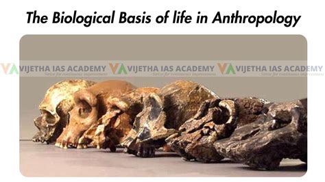 The biological basis of life in Anthropology Optional for UPSC