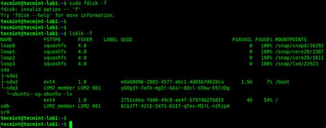 Image result for Linux Partition Viewer