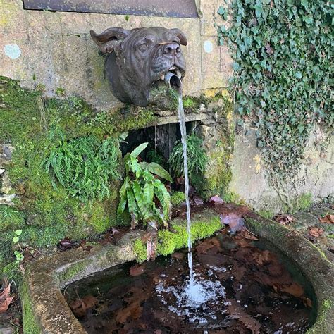 DEVIL DOG FOUNTAIN (2025) All You Need to Know BEFORE You Go (with ...