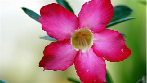 Image result for JSON Serialization Explained