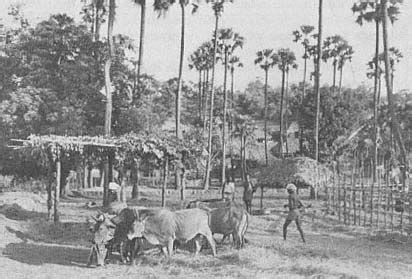 Jharkhand Blog | The public website of Jharkhand State