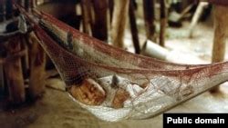 English Words Borrowed From the Americas