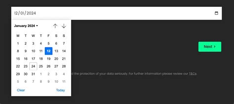 HTML Date PICKER 的图像结果