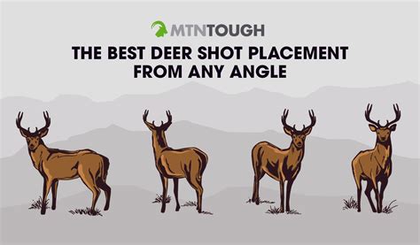 Deer Hunting in Texas: Ultimate Guide for a Successful Hunt - The Deer ...