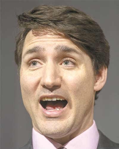 加拿大总理特鲁多遭“逼宫”？|卡尼_新浪财经_新浪网