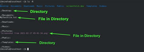 Image result for Linux Directory Commands
