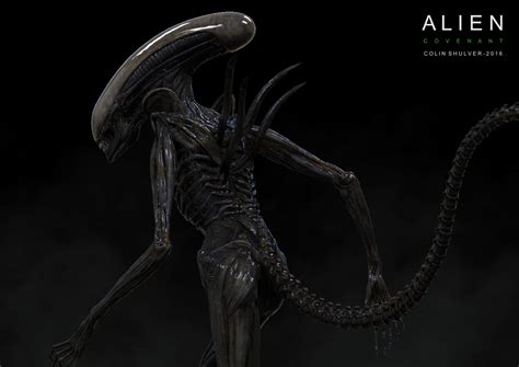 Xenomorph Concept Art Anatomy