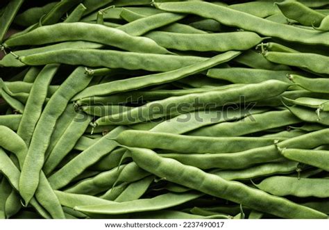 Image result for Track Runner Shape