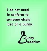 Image result for Motivational Quotes Bunny
