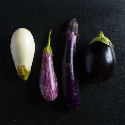 eggplants - Doctor Yum Recipes