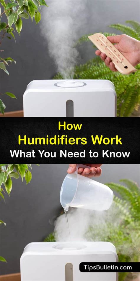 Image result for How a Humidifier Helps