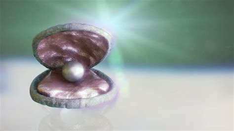 Image result for Shell Pearl Factory