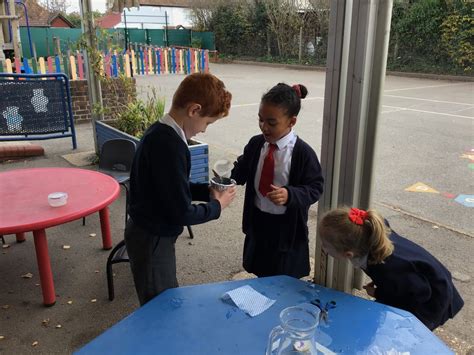 Cardinal Newman Catholic Primary School - Year 2 - Science