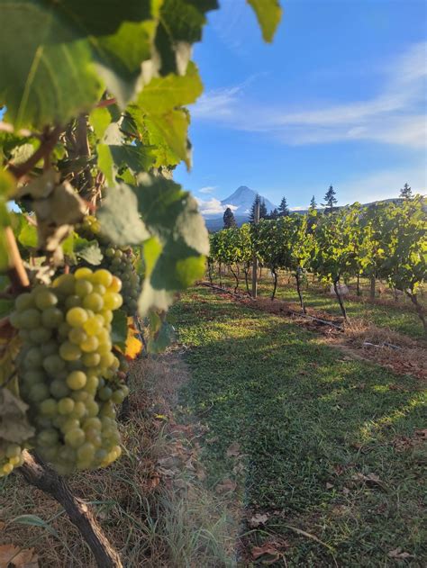 Hood River Fruit Loop, Oregon Destination! - Switchback Valley