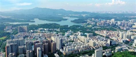 深政观察：香港大学落户深圳背后，南山这座国际科教城亮了_创新