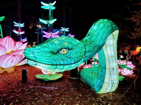 North Carolina Chinese Lantern Festival: A Dazzling Display of Culture ...
