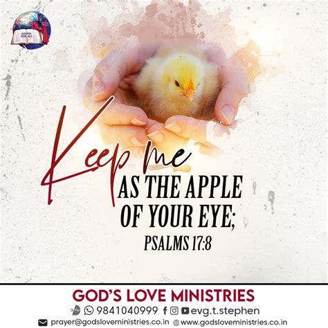 Psalm 17:8 :: God's Love Ministries - Today's Promise