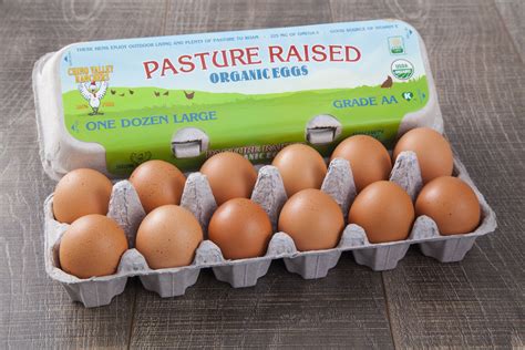 Our Pasture Raised Organic eggs come from hens that live on dedicated ...