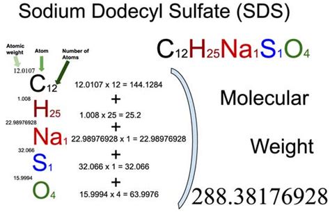 Sodium Dodecyl Sulfate (SDS) [C12H25NaSO4] Molecular Weight Calculation ...