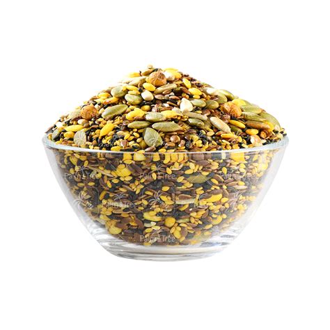 Premium Assorted Seeds (Salted) – palmtreeshopping
