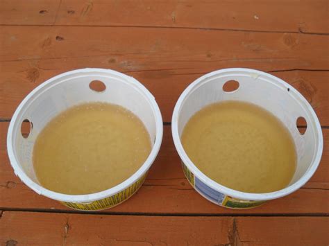 Image result for Homemade Slug Control