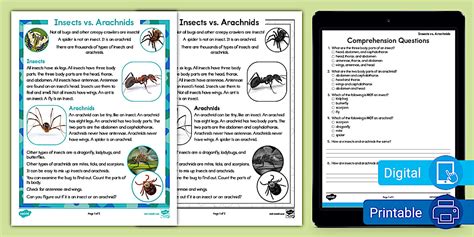 First Grade Insects vs. Arachnids Reading Comprehension