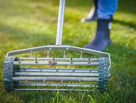 Essential Winter Lawn Care Checklist Before Christmas Arrives