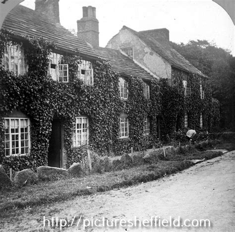 Searching Picture Sheffield