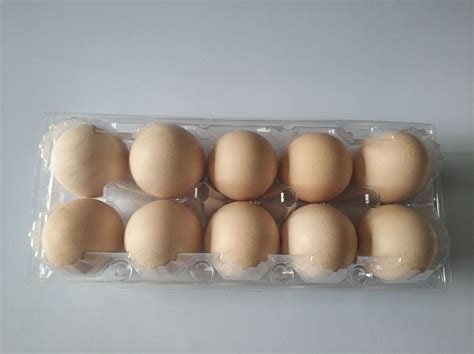 加厚20枚鸡蛋托PET透明鸡蛋盒吸塑鸡蛋托土鸡蛋包装盒厂家批发-阿里巴巴