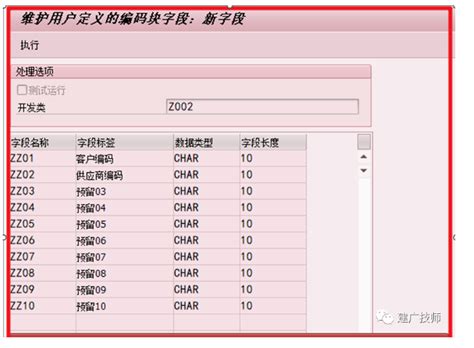 SAP Coding Block 的图像结果
