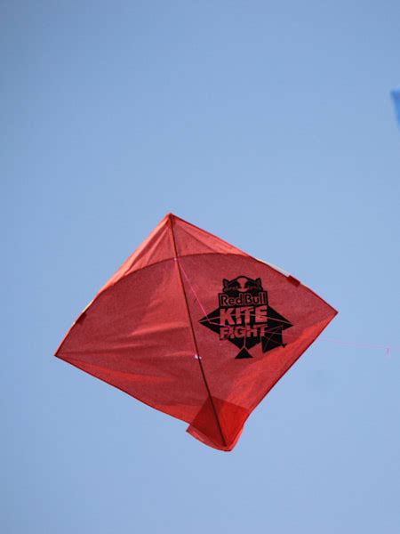 Red Bull Kite Fight 2019: Results
