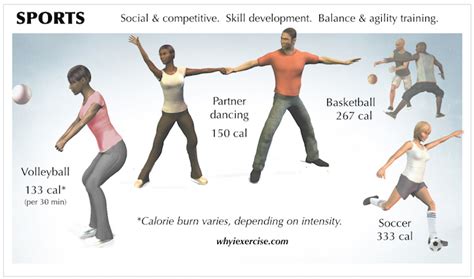 Image result for Exercise Examples Cardiovasculas