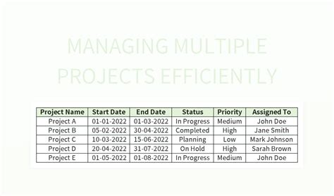 Image result for Resource Management Excel Multiple Projects