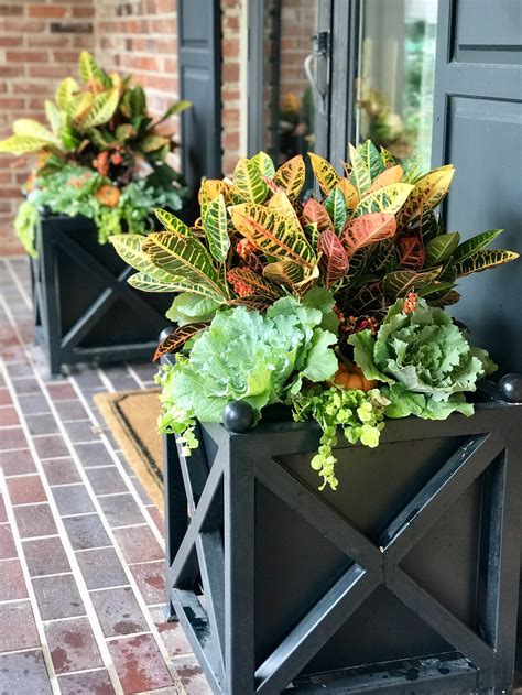 Fall Container Garden Ideas (+ Our Favorite Plants) — Adorn